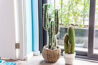 Muuuy Mexicano A 2 cuadras del Zócalo - 3