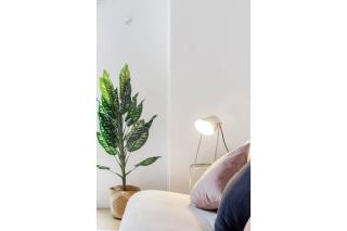 Loft minimalista impecable En pleno Centro Histórico - Città del Messico - 4