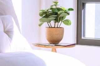 Exclusivo loft a pasos del Zócalo No lo pierdas - Città del Messico - 5