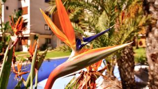 Apartamento La Entrada - 9