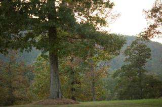 Stonehill Cottages - 6