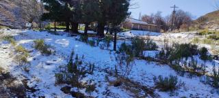 Den Hagen Guest Farm - 1