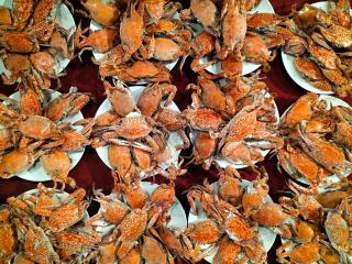 Suoi Hong Resort - Mũi Né - 6