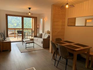 Magnifique 2 pièces équipé avec garage privé à Châtel - FR-1-198-239 - Châtel - 0