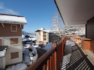 Appartement 3 pièces avec garage, terrasse, proche pistes et commerces à Arâches-la-Frasse - FR-1-572-250 - 3
