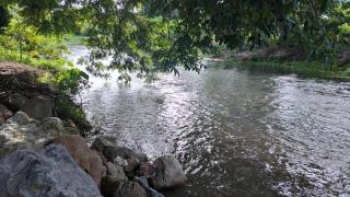 โคซี่ โฮมสเตย์ - 8