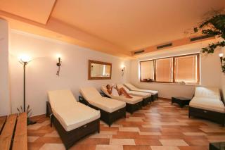 Hotel Dax - Lofer - 5