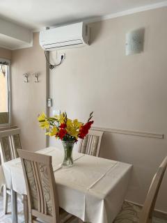 Apartman Pijavica - 8