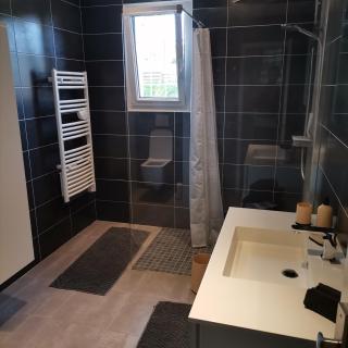Appartement dans habitation privée avec piscine - La Milesse - 3