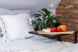 Stara Izba samotnia blisko natury - 5