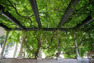 La Portineria Luxury B&B - Piancogno - 1