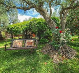 The Treehouse - Casa sull'albero al Golden Camp - Falerna - 7
