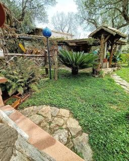 The Treehouse - Casa sull'albero al Golden Camp - Falerna - 3