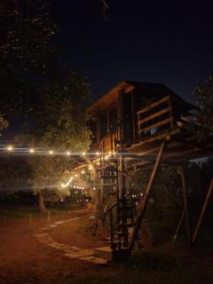 The Treehouse - Casa sull'albero al Golden Camp - Falerna - 2