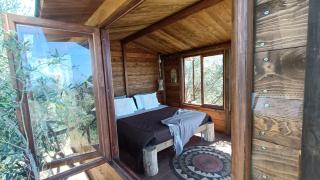 The Treehouse - Casa sull'albero al Golden Camp - Falerna - 1