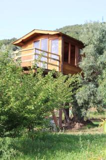 The Treehouse - Casa sull'albero al Golden Camp - Falerna - 8