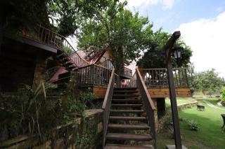 The Pear Orchard By Countryside - 4