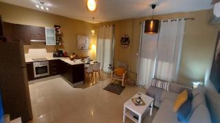 Paramount Gardens Resorts C202 - 1