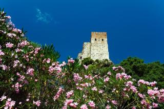 Castello Malicas - Galtellì - 0