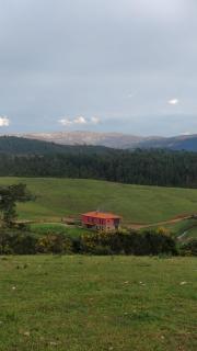 Quinta do Favacal - Agroturismo - Serra da Estrela - Casegas - 8