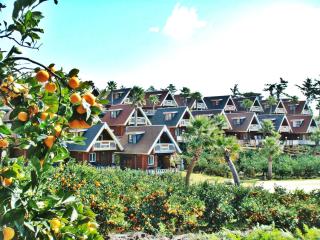 Jungmun Log Pension & Resort - Seogwipo - 6