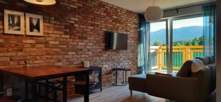 Apartament Górski Widok Szklarska Poręba - Szklarska Poręba - 8