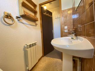 Charmant T2 proche centre et pistes, balcon sud - FR-1-603-60 - Praz-sur-Arly - 3