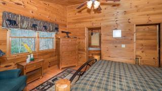 Red Apple Mountaintop cabin hot tub, WiFi, Pet friendly, Fireplace, pit, BEST VIEWS - Cherry Log - 2