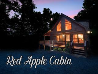Red Apple Mountaintop cabin hot tub, WiFi, Pet friendly, Fireplace, pit, BEST VIEWS - Cherry Log - 9