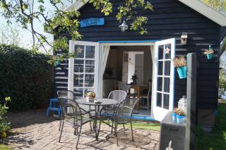 Hortensia Eiland - Zegveld - 2