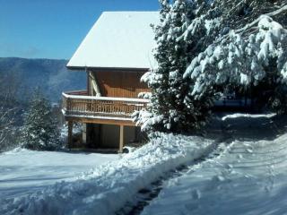 Chalet 3 étoiles avec sauna près de La Bresse - FR-1-589-18 - 8