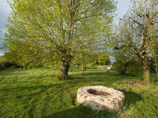 Séjour nature au cœur du Parc de la Brenne: gîte 4 chambres, jardin et terrasse, proche de Rosnay - FR-1-591-141 - 5