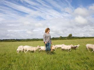 Séjour nature au cœur du Parc de la Brenne: gîte 4 chambres, jardin et terrasse, proche de Rosnay - FR-1-591-141 - 4