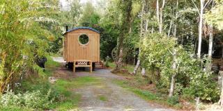 Sapphire forest garden shepherd’s hut - 4