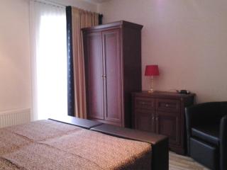 Chalet Villa REX - Druskininkai - 8