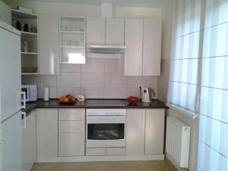 Chalet Villa REX - Druskininkai - 7