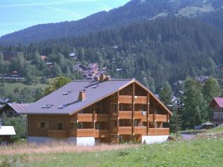 Duplex lumineux 3 pièces, 7 pers, 3 balcons, proche pistes et commerces, parking, ski bus - FR-1-572-72 - Arâches-la-Frasse - 2