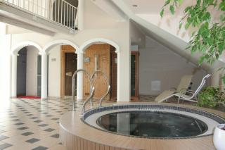 Sport Manca Garni Hotel - Radovljica - 2