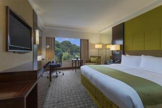 Holiday Inn Singapore Orchard City Centre by IHG - Singapore - 7