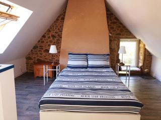 Gîte Le Valet, T2 classé 3 étoiles, entre Rennes et Saint-Malo - La Chapelle-aux-Filzméens - 7