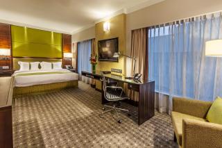 Holiday Inn Singapore Orchard City Centre by IHG - Singapore - 6
