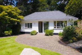 Chadham Pines Cottage - Parkstone - 5