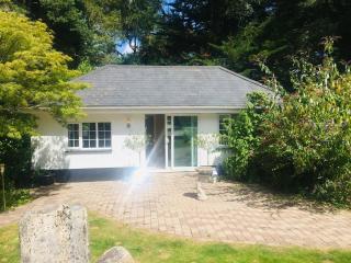 Chadham Pines Cottage - Parkstone - 4