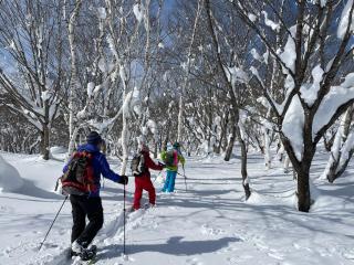 Guest house Maroudo - Iiyama - 6