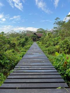 Hacienda Herrera Tambopata - 9