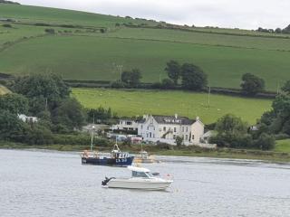The Teifi Waterside Hotel - 4