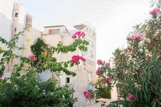 Stylish, Basement Studio with Roof Top Access - EP9B - Atene - 2