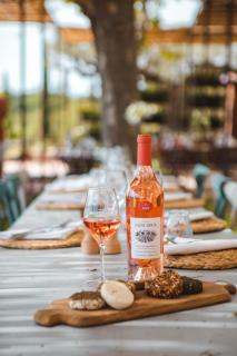 Château Saint Roux Le Luc-Le Cannet des Maures - 1