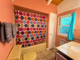 Secluded Chalet On Stream-Mins to Camelback - Tannersville - 4