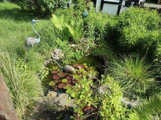 Entspannung in Hellenthal - Hellenthal - 6